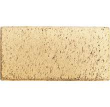 Einzelner Pflasterklinker aus Ton für den Garten- und Landschaftsbau