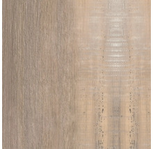 Holzstruktur mit Maserung