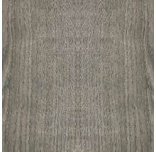 Holzstruktur Nahaufnahme