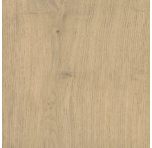 Holzstruktur Nahaufnahme