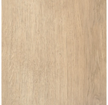 Holzstruktur Nahaufnahme