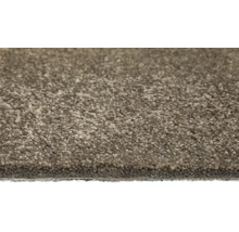 Detailansicht eines Teppichs mit Flor