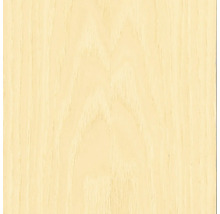 Holzstruktur Nahaufnahme