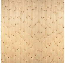Holzpaneele aus Fichte mit Aststruktur