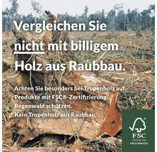 Vergleich von Holz aus nachhaltiger Forstwirtschaft mit Holz aus Raubbau. Achten Sie auf FSC Zertifizierung. FSC Logo.