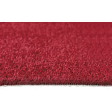 Nahaufnahme eines roten Teppichs mit kurzem Flor