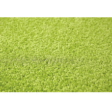 Nahaufnahme eines grünen Teppichs mit hohem Flor