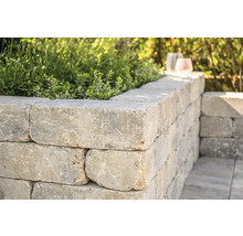 Mauer aus Betonsteinen mit Pflanzen bepflanzt