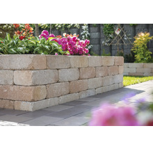 Garten mit einer Mauer aus Steinblöcken und Bepflanzung