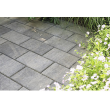 Rechteckige Pflastersteine auf einem Gartenweg neben Blumen