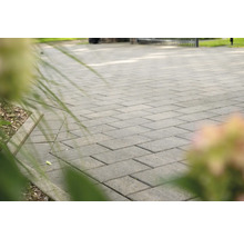 Pflastersteine auf einer Terrasse oder einem Gehweg im Garten