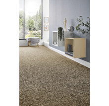 Wohnzimmer mit Teppichboden, Regalen und Fenster