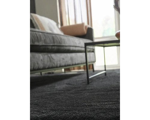 Teppichboden Shaggy Banwell anthrazit FB78 500 cm breit (Meterware)