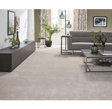 Wohnzimmer mit hellem Teppich, Sofa, Tisch und Pflanzen