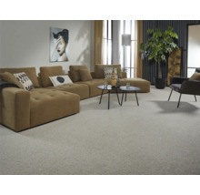 Wohnzimmer mit Sofa, Tisch, Sessel, Zimmerpflanze und Teppich