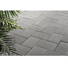 Graue Pflastersteine im Fischgrätenmuster mit Pflanze