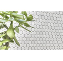 Weisse Mosaikfliese mit runden Steinen