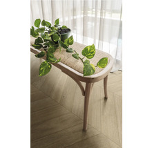 Innenaufnahme eines hellen Raumes mit Parkettboden, einer Bank mit Pflanze und einem transparenten Vorhang.