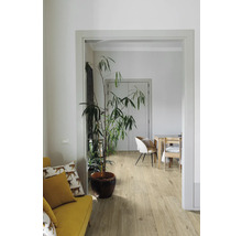 Heller Wohnraum mit Holzboden, Pflanze und Sitzgelegenheiten