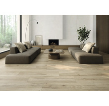 Heller Wohnraum mit Holzboden, Sofas und Kamin