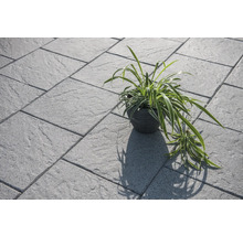 Graue Pflastersteine mit Topfpflanze