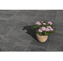 Graue Pflastersteine mit Topfblume