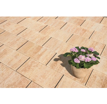 Verlegte Pflastersteine mit blühender Hortensie im Topf