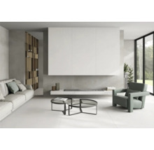 Helles Wohnzimmer mit Sofa, Sessel, Couchtischen und Regalen