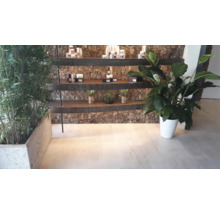 Dekorative Regale mit Pflanzen und Pflegeprodukten in einem hellen Raum.