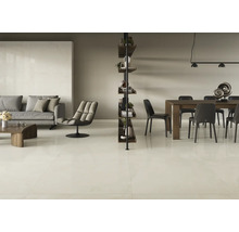 Modernes Wohnzimmer mit Sofa, Sessel, Regal, Esstisch und Bodenfliesen