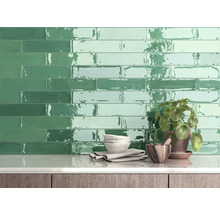 Wandfliesen in einem Badezimmer mit Regal und Dekoration