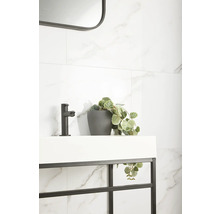 Badezimmerwaschtisch mit Armatur, Topfpflanze und Spiegel