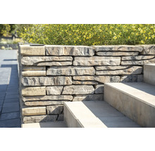 Steinmauer mit Treppe und Bepflanzung im Garten