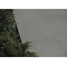 Verlegte Terrassenplatten neben Grünpflanzen.