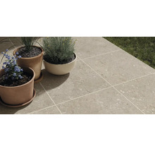 Terrasse mit hellgrauen Bodenfliesen und Pflanzen in Tontöpfen.