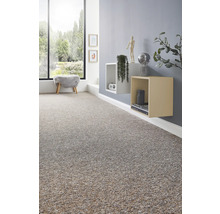 Innenraum mit Teppichboden, Regalen und dekorativen Elementen für ein gemütliches Ambiente.