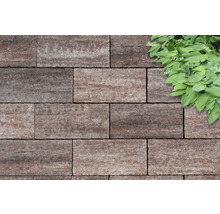 Verbundpflastersteine mit Pflanzen