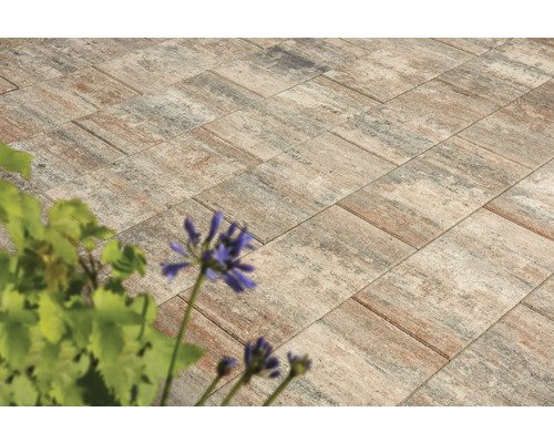 Beton Terrassenplatte iStone Pure muschelkalk 80 cm x 40 cm x 4 cm