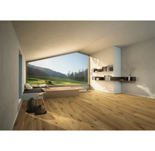 Heller Raum mit Holzfußboden, Bücherregalen und großem Fenster mit Blick auf eine grüne Landschaft