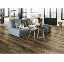 Heller Wohnraum mit Holzfußboden, grauer Couch und Katze