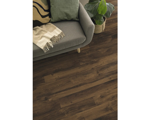 Detailaufnahme eines Raumes mit Laminatboden, Sofa und Zimmerpflanze