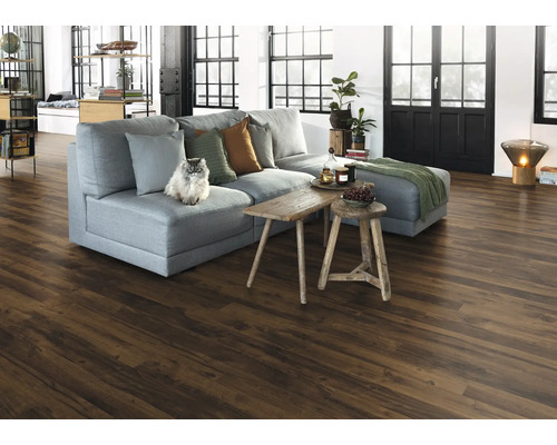 Wohnzimmer mit Sofa, Holzboden und Katze