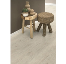 Szene mit zwei Hockern, Vasen und einer Sukkulente auf einem Laminatboden.