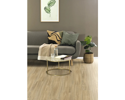 Wohnzimmer mit Sofa, Couchtisch, Kissen und Zimmerpflanze