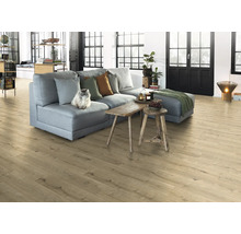 Heller Wohnraum mit Laminatboden, grauer Couch und Katze