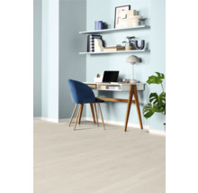 Helles Arbeitszimmer mit Schreibtisch, Stuhl, Regalen und Zimmerpflanze