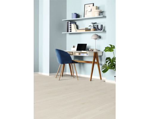 Helles Arbeitszimmer mit Schreibtisch, Stuhl, Regalen und Zimmerpflanze