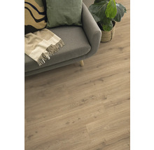 Heller Holzboden im Wohnzimmer mit Sofa und Zimmerpflanze