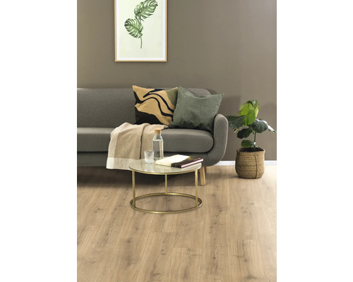 Wohnzimmer mit grauem Sofa, Couchtisch, Kissen und Zimmerpflanze