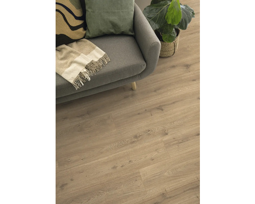 Bodenbelag aus Laminat im Wohnzimmer mit Couch und Zimmerpflanze
